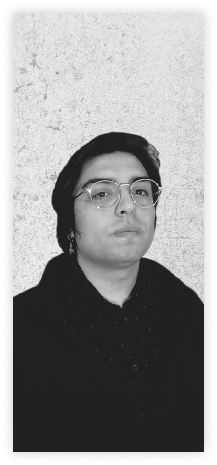 Imágen de perfil Luis Vallejos